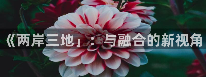 康司臣蓝莓叶黄素酯片是真的吗：《两岸三地」：与融合的新视角