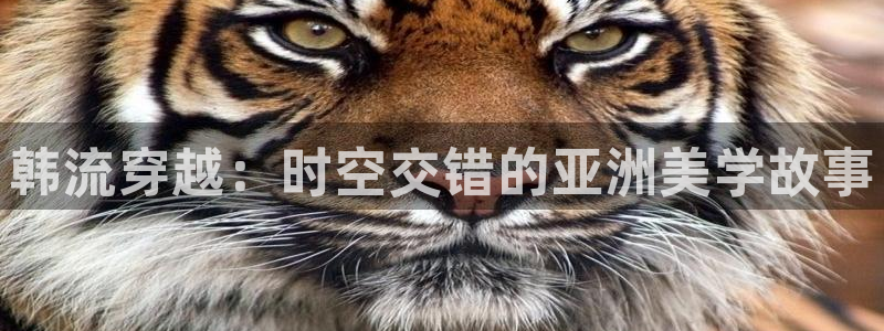 蓝莓视频在线观看18