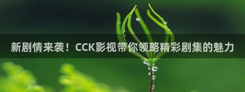 蓝莓在线电影：新剧情来袭！CCK影视带你领略精彩剧集的魅力