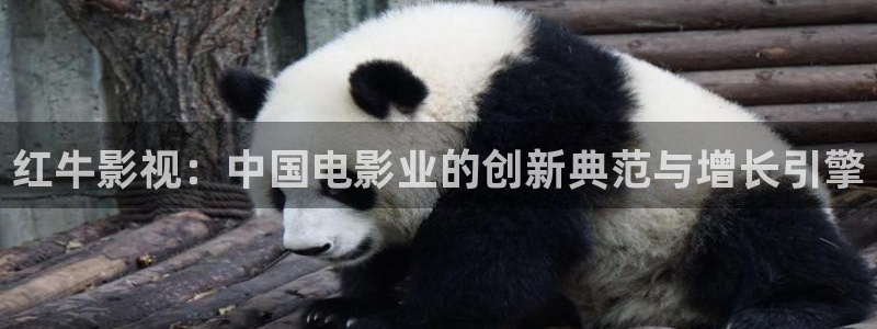 宜视佳蓝莓叶黄素片：红牛影视：中国电影业的创新典范与增长引擎