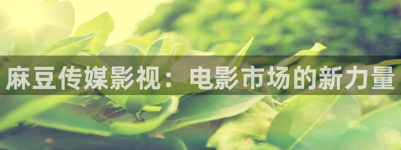 蓝莓视频免费在线观看