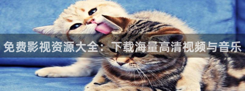 蓝莓视频下载安装