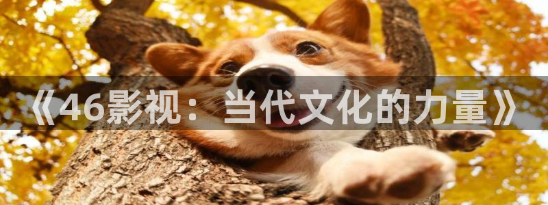 蓝莓视频18在线：《46影视：当代文化的力量》