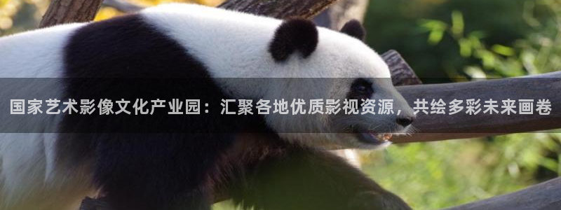 17c视频蓝莓：国家艺术影像文化产业园：汇聚各地优质影视资源，共绘多彩未来画卷