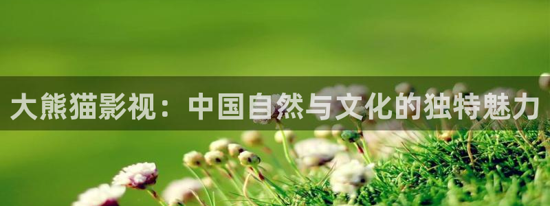 蓝莓视频18在线：大熊猫影视：中国自然与文化的独特魅力